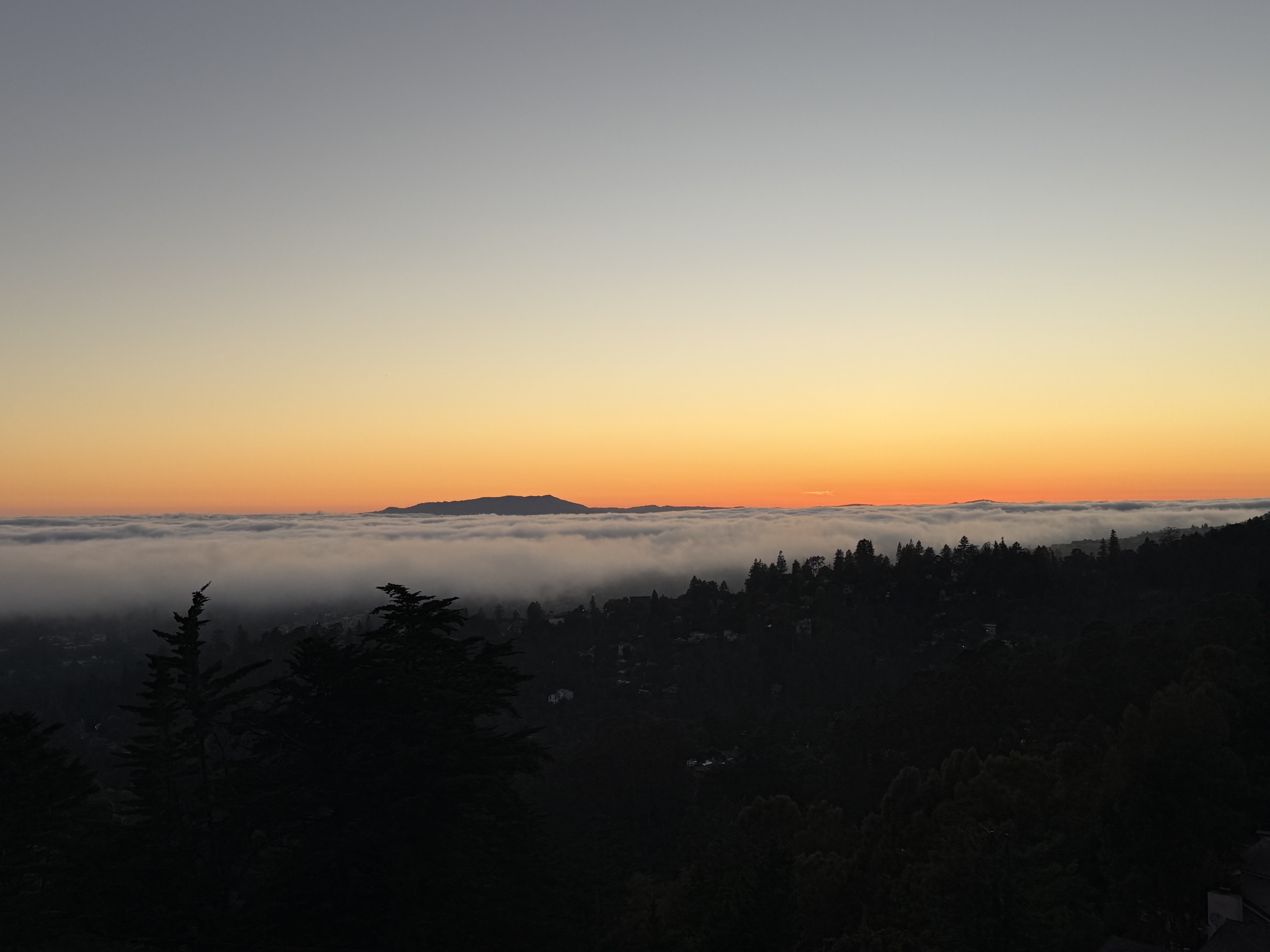 Golden sunset above a blanket of fog over the Bay